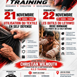 Stage dirigé par Christian Wilmouth - 21 et 22 novembre 2026.